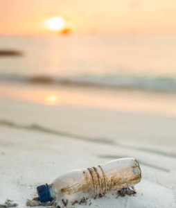 colegio por ciclos, instituto el roble, residuos solidos