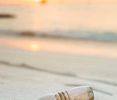 colegio por ciclos, instituto el roble, residuos solidos